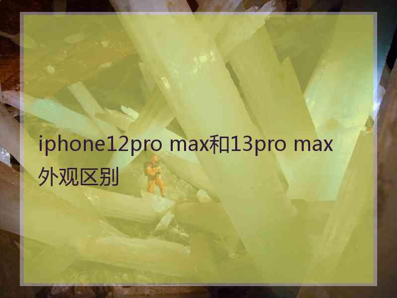 iphone12pro max和13pro max外观区别