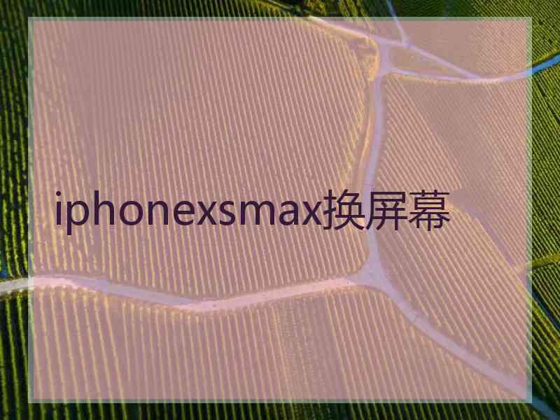 iphonexsmax换屏幕