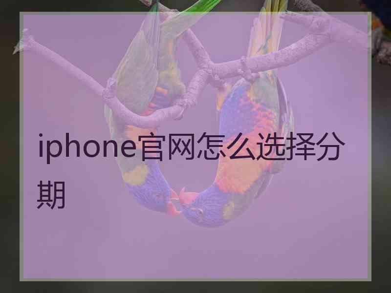 iphone官网怎么选择分期