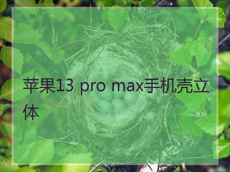 苹果13 pro max手机壳立体