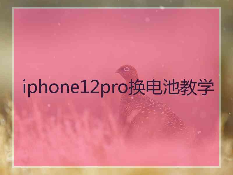 iphone12pro换电池教学