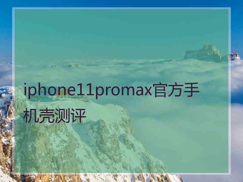 iphone11promax官方手机壳测评