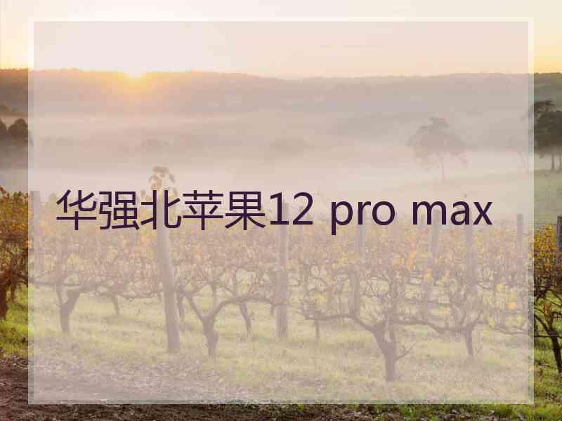 华强北苹果12 pro max