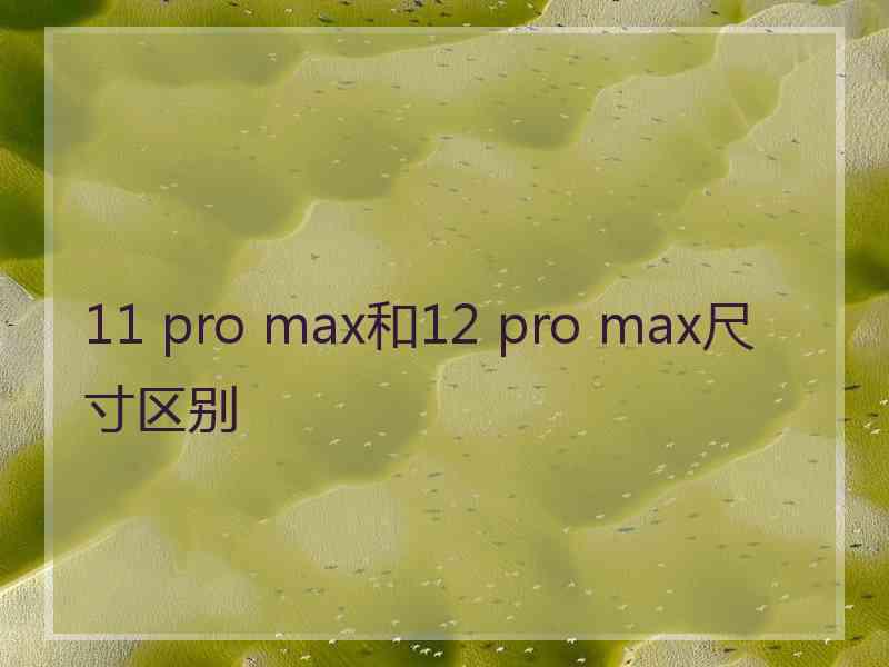 11 pro max和12 pro max尺寸区别