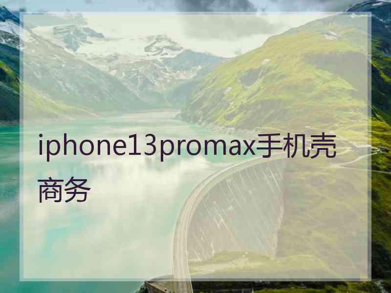 iphone13promax手机壳商务