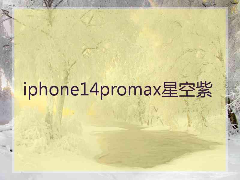 iphone14promax星空紫