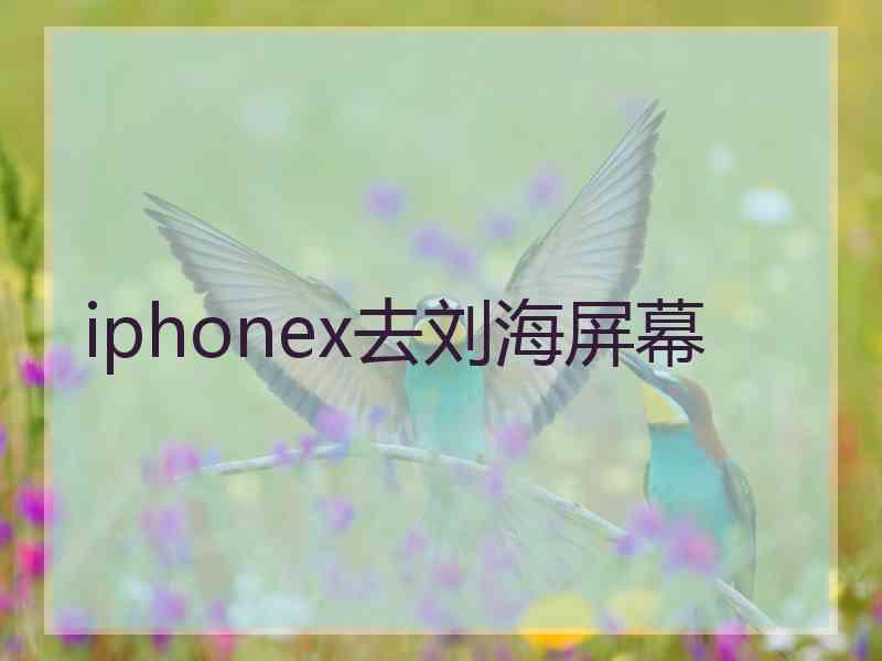 iphonex去刘海屏幕