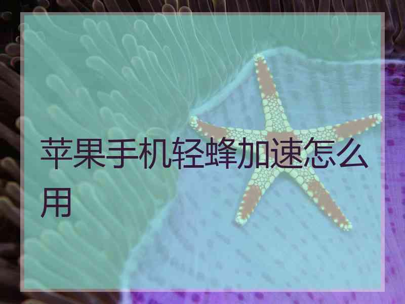 苹果手机轻蜂加速怎么用