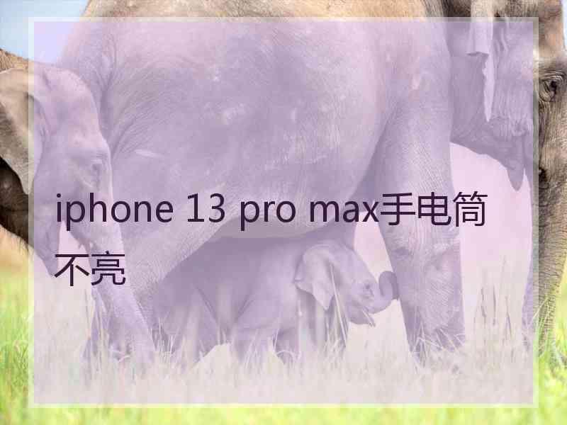 iphone 13 pro max手电筒不亮