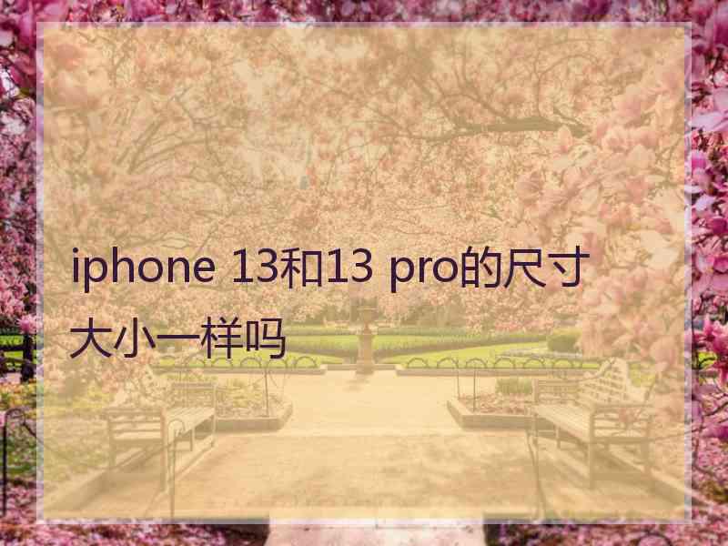 iphone 13和13 pro的尺寸大小一样吗