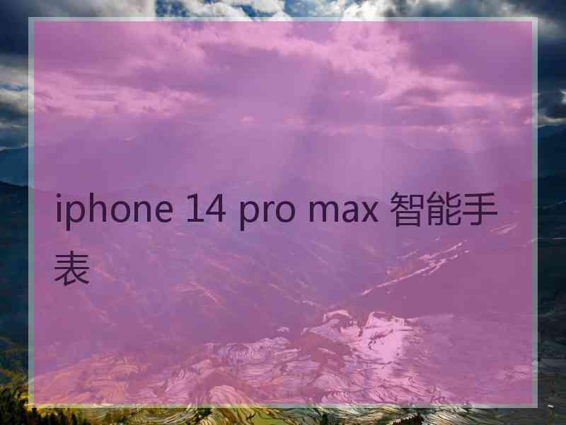 iphone 14 pro max 智能手表