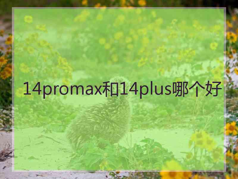 14promax和14plus哪个好