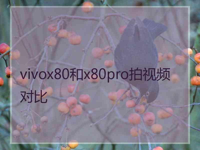 vivox80和x80pro拍视频对比