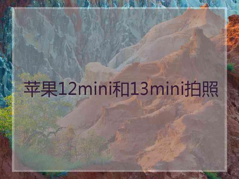 苹果12mini和13mini拍照