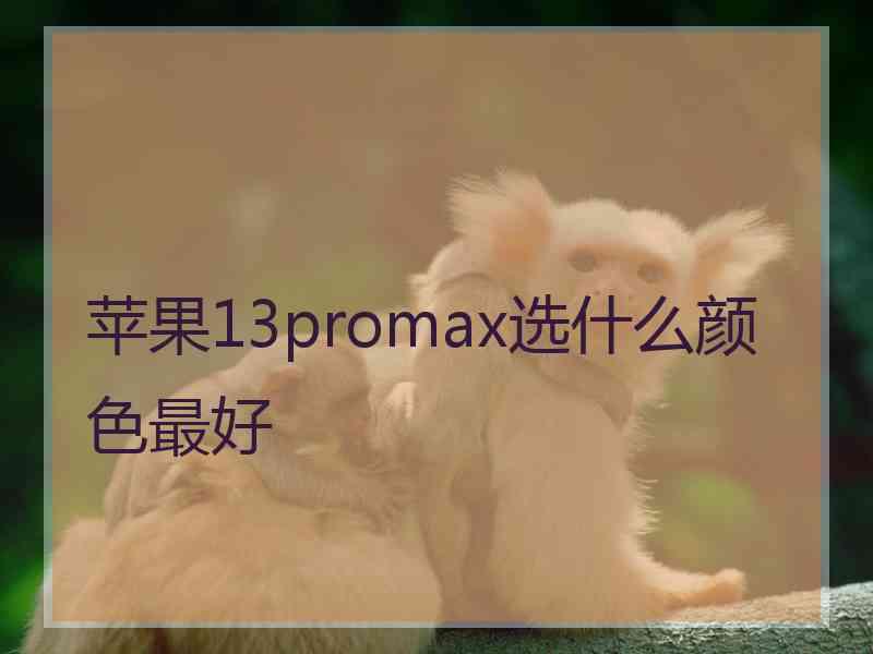 苹果13promax选什么颜色最好