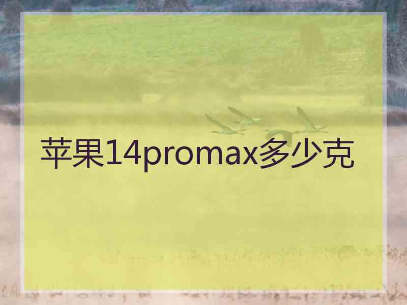 苹果14promax多少克