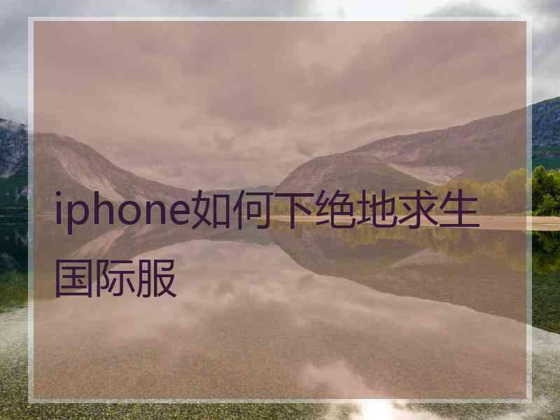 iphone如何下绝地求生国际服