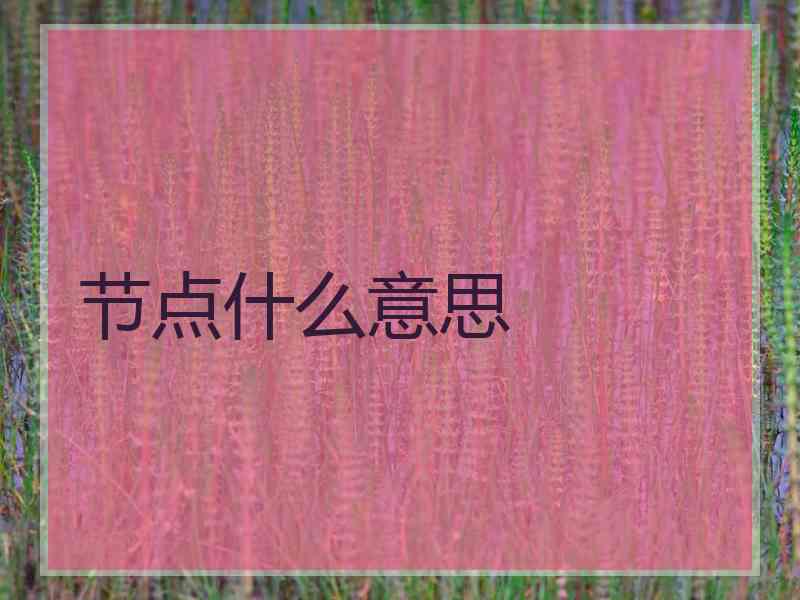 节点什么意思