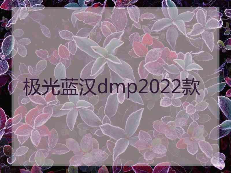 极光蓝汉dmp2022款