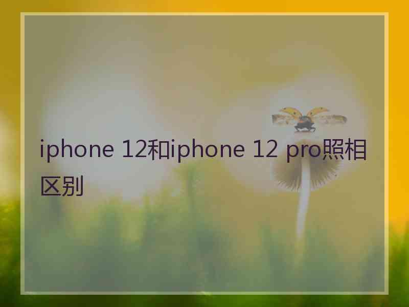 iphone 12和iphone 12 pro照相区别