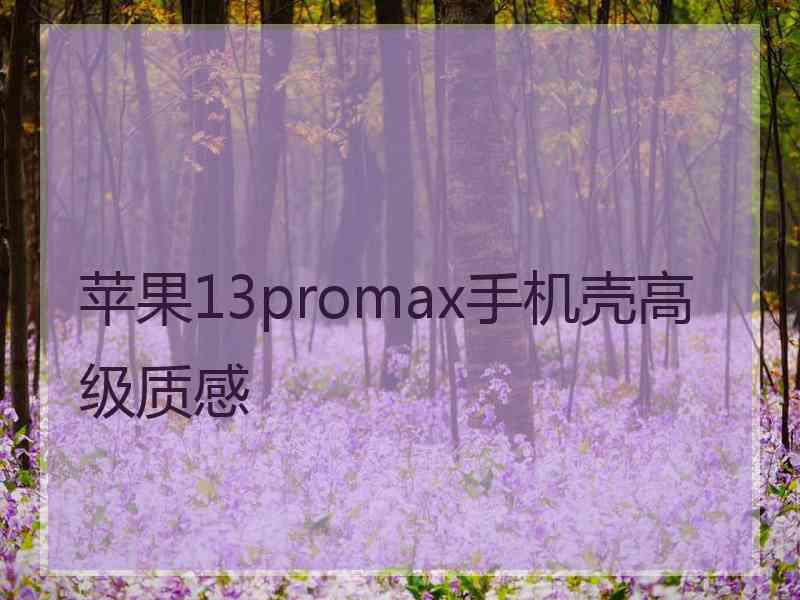 苹果13promax手机壳高级质感