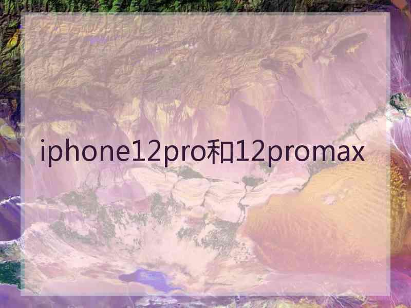 iphone12pro和12promax