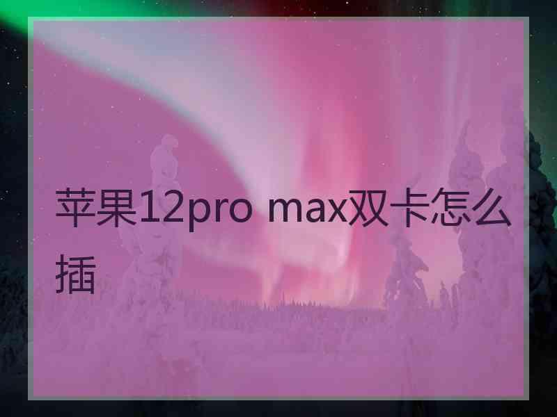 苹果12pro max双卡怎么插