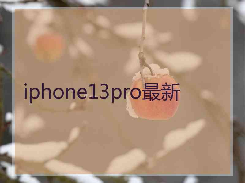 iphone13pro最新