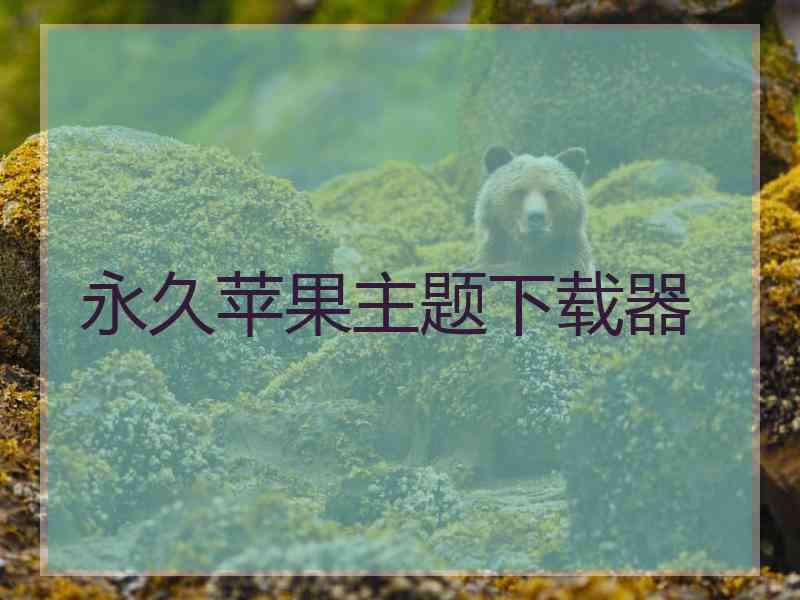 永久苹果主题下载器