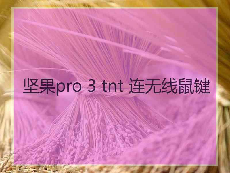 坚果pro 3 tnt 连无线鼠键