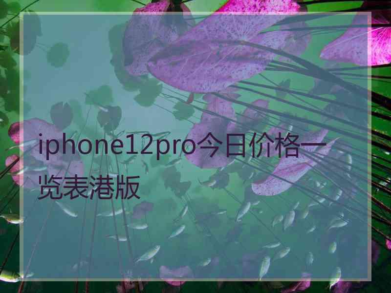 iphone12pro今日价格一览表港版