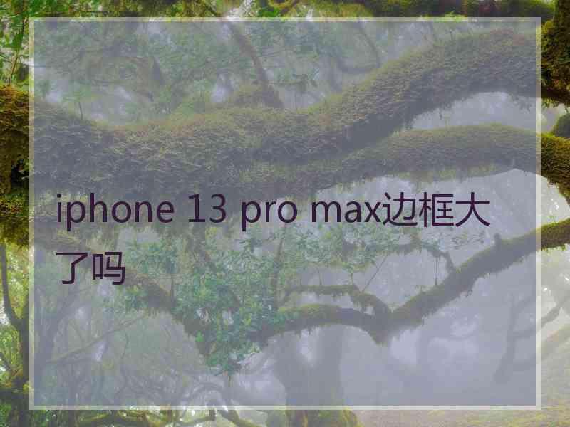 iphone 13 pro max边框大了吗