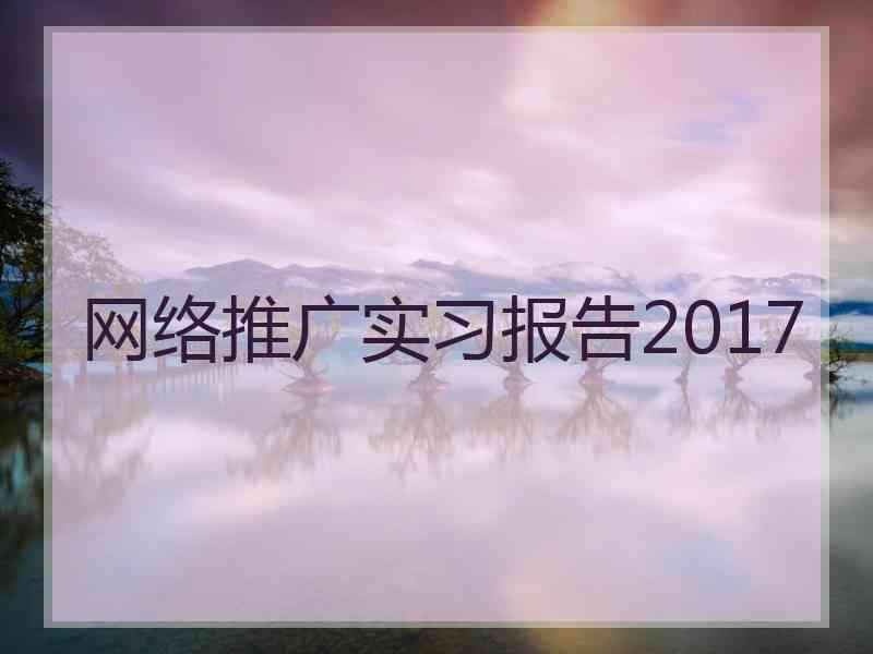 网络推广实习报告2017