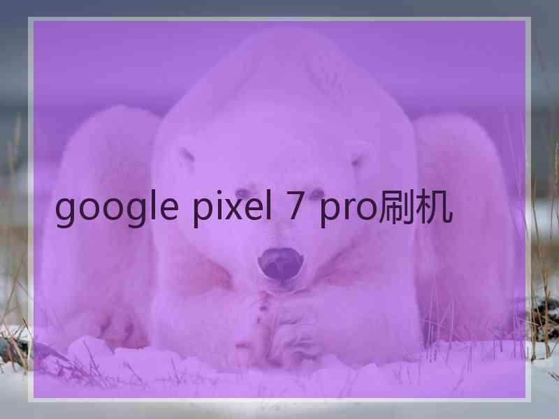 google pixel 7 pro刷机