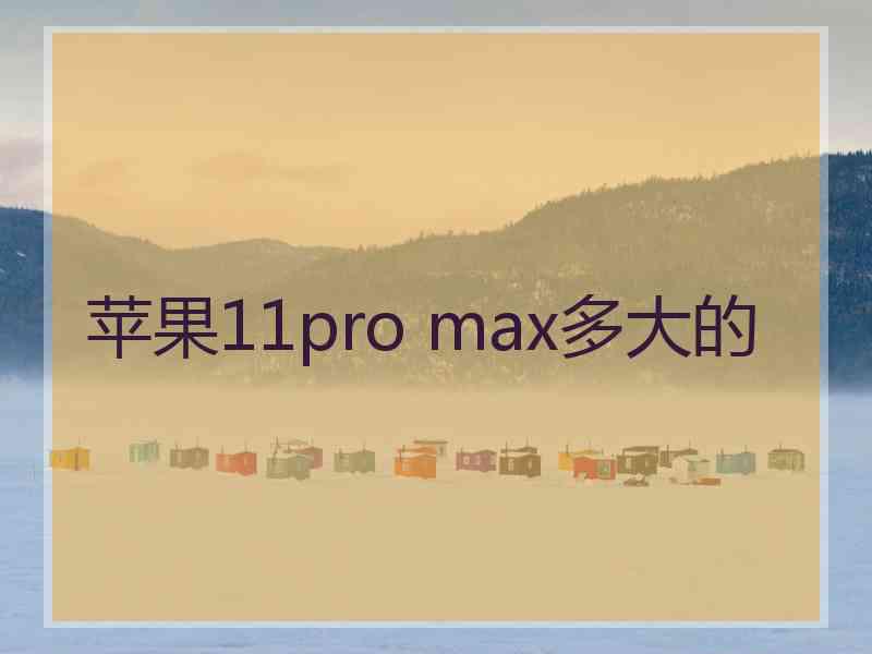 苹果11pro max多大的