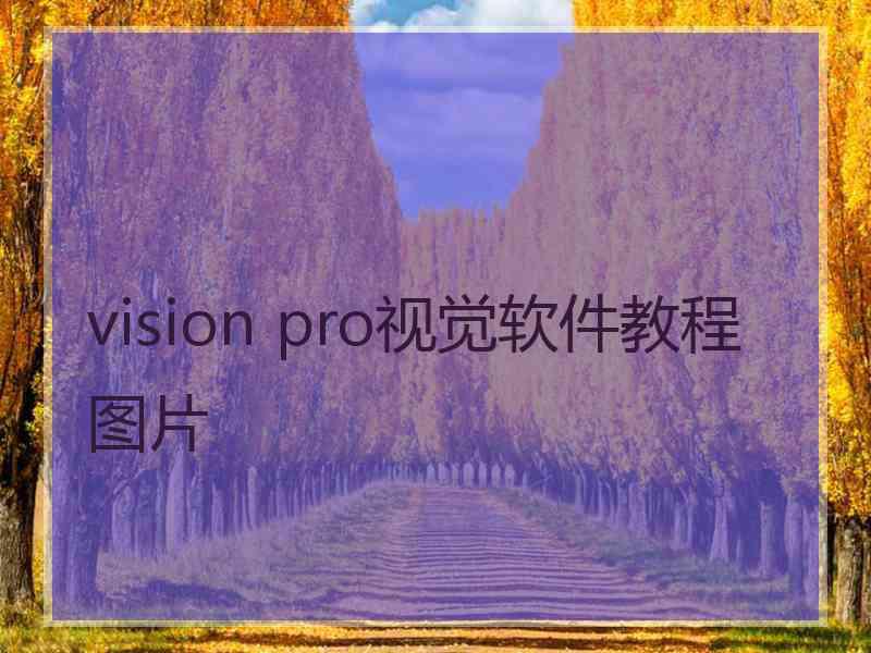 vision pro视觉软件教程图片