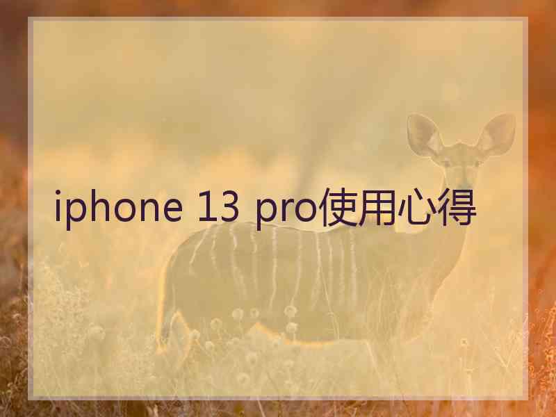 iphone 13 pro使用心得