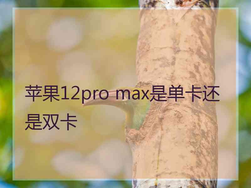 苹果12pro max是单卡还是双卡