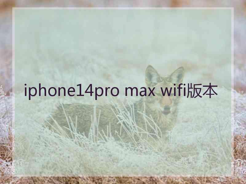 iphone14pro max wifi版本