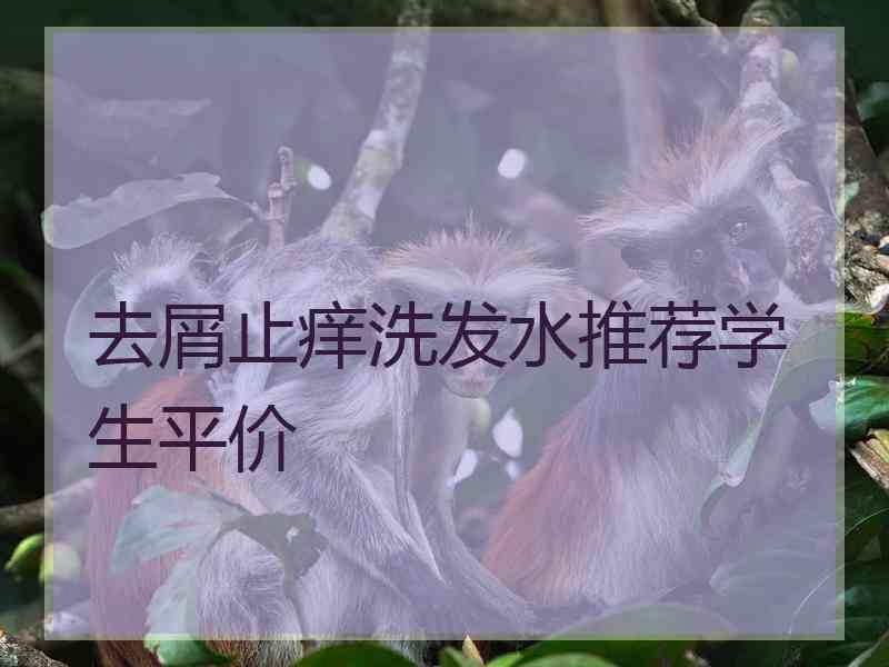 去屑止痒洗发水推荐学生平价