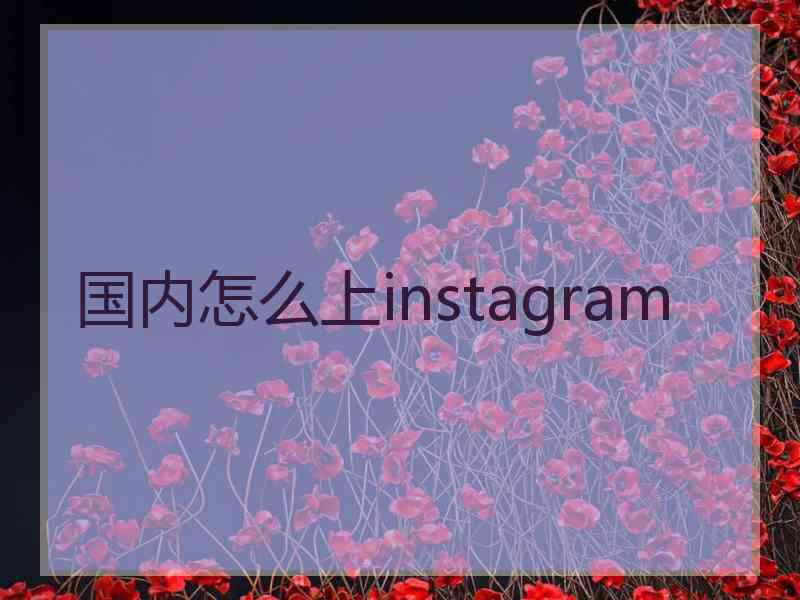 国内怎么上instagram