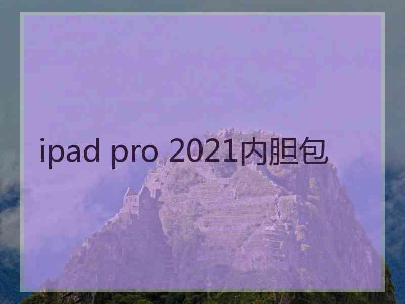 ipad pro 2021内胆包