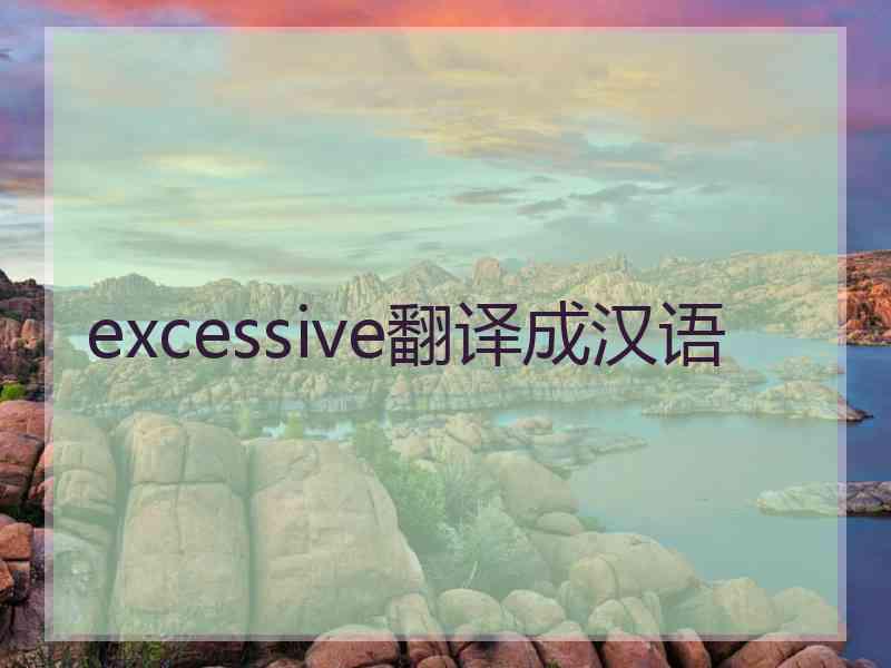 excessive翻译成汉语