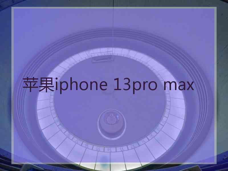 苹果iphone 13pro max