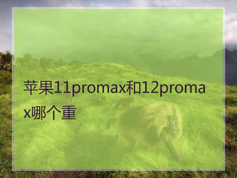 苹果11promax和12promax哪个重