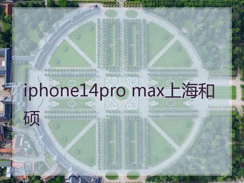 iphone14pro max上海和硕