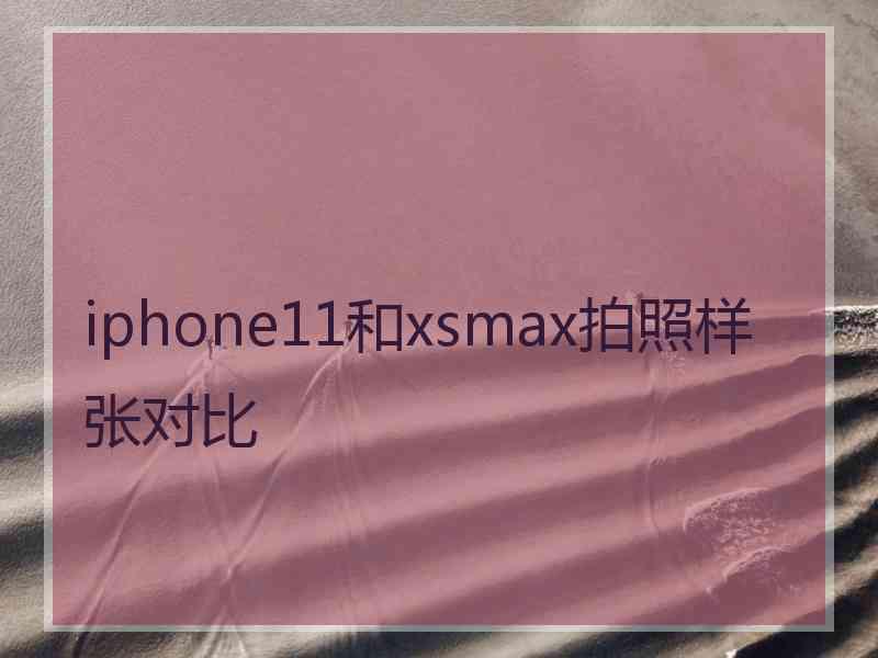 iphone11和xsmax拍照样张对比