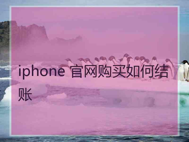 iphone 官网购买如何结账