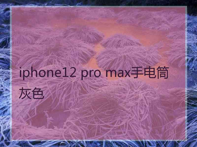 iphone12 pro max手电筒灰色