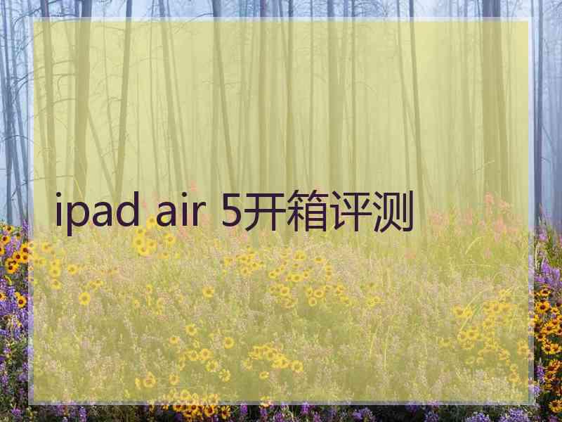 ipad air 5开箱评测